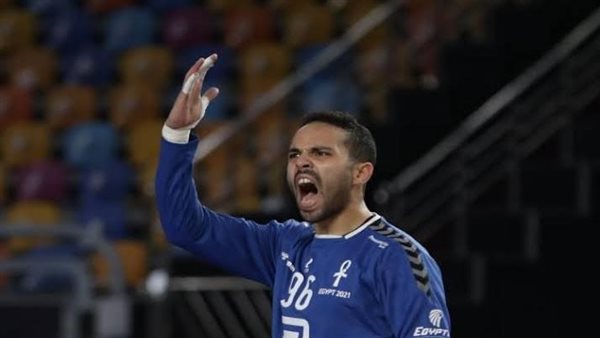 محمد عصام الطيار