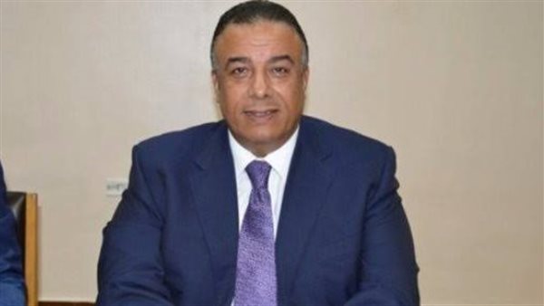 عمرو مصيلحي نائب