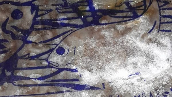 جانب من المضبوطات