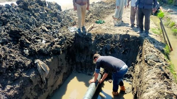 صورة من الارشيف