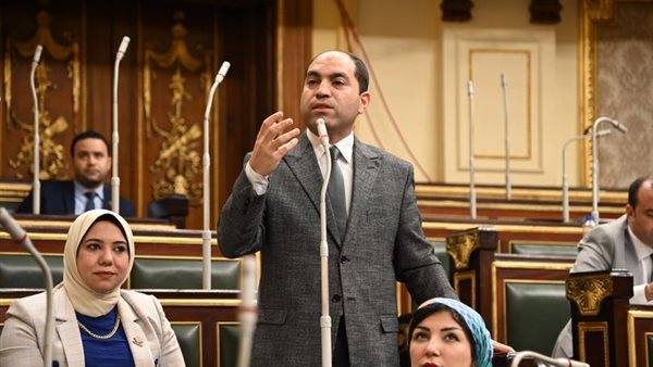  النائب عمرو درويش