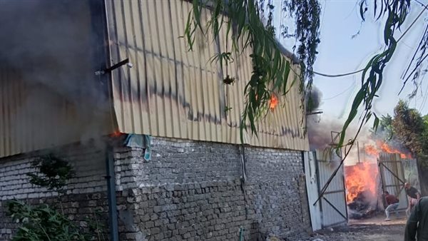 صورة من الحدث