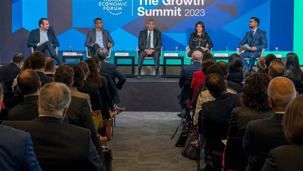 وزيرة التعاون الدولى