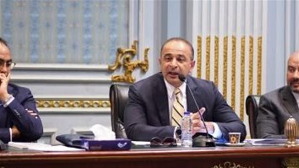 أحمد كمالى نائب وزيرة