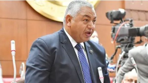 النائب الراحل محمود