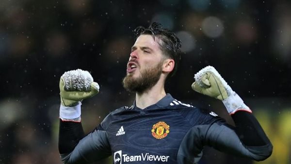 ديفيد دي خيا