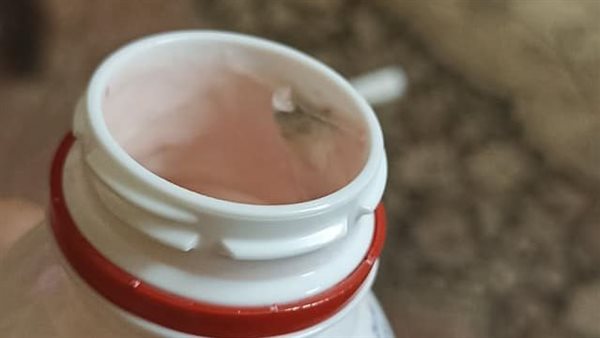 زبادو بالعفن 