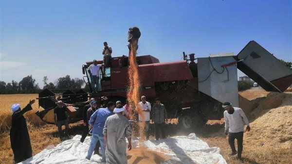 صورة من الحدث