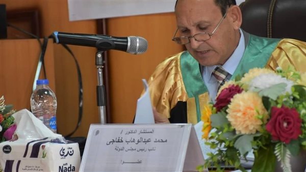 المستشار محمد عبد