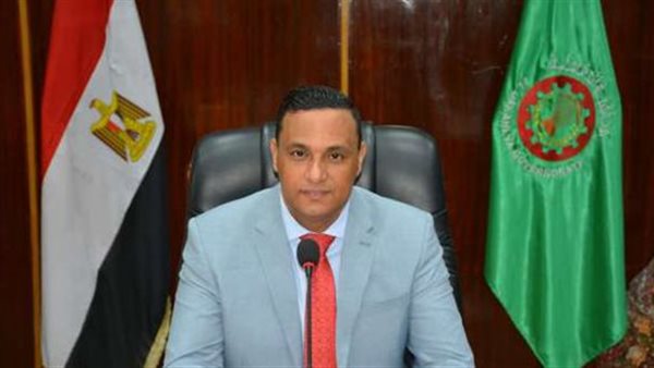 محافظ الدقهليه