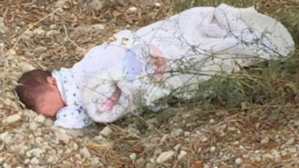 صورة أرشيفية