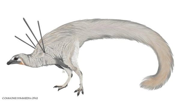 اكتشاف ديناصور فى