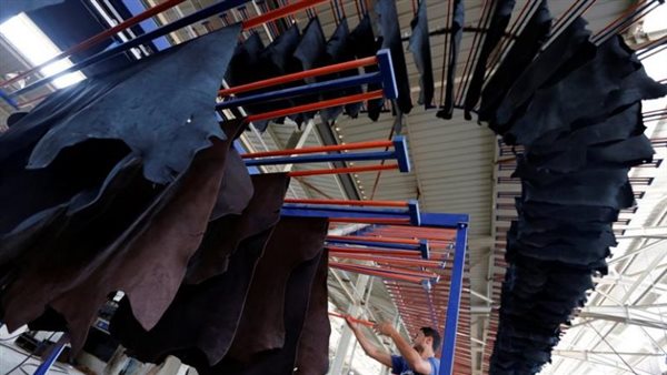 الروبيكى - صورة ارشيفية