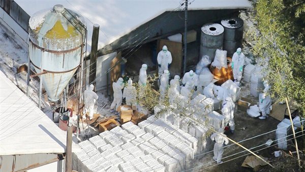 جانب من عمليات الاعدام