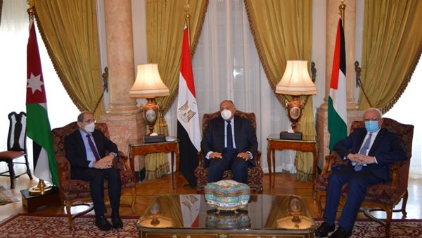 وزير الخارجية سامح