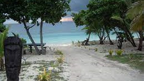 صورة ارشفية