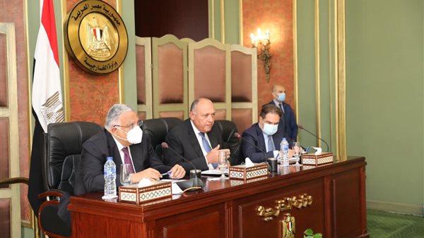 لقاء وزير الخارجية