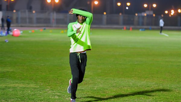 لايفواري فونسينو