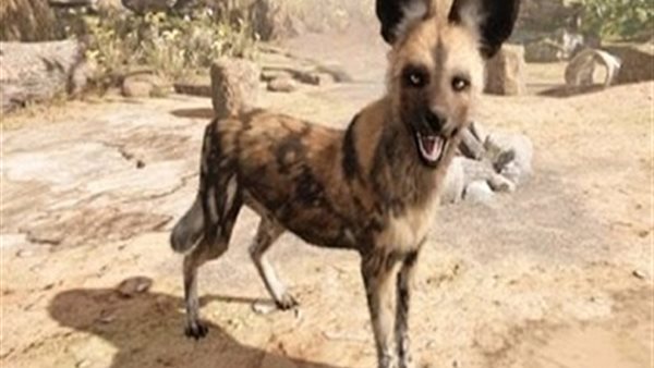 صورة ارشيفية