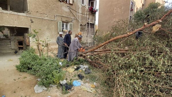 إزالة الأشجار