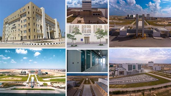 الجامعة المصرية اليابانية