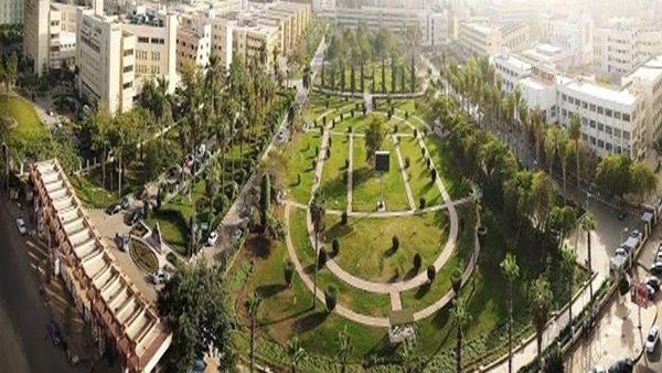 جامعة المنصورة