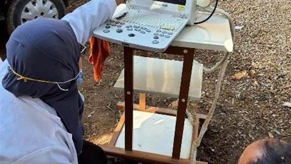 الطب البيطري 