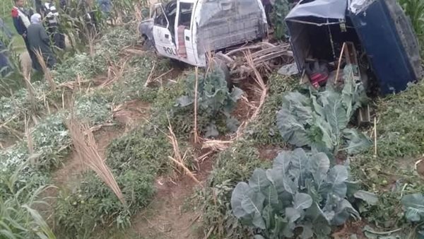 صورة من الحدث