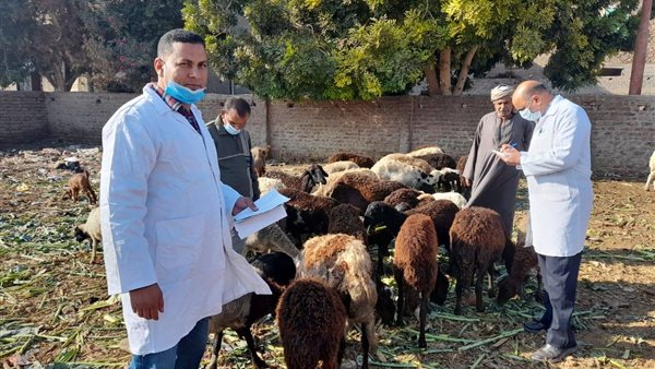 جانب من الحدث