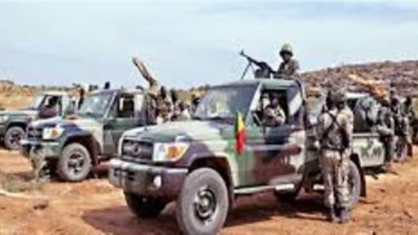 الجيش المالي 