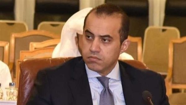 المستشار محمود فوزي