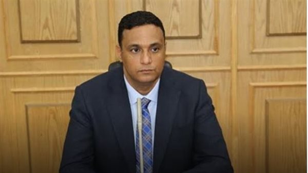 محافظ الدقهلية 