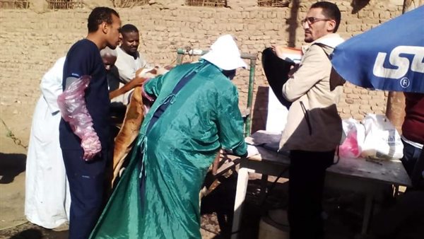 الطب البيطري 