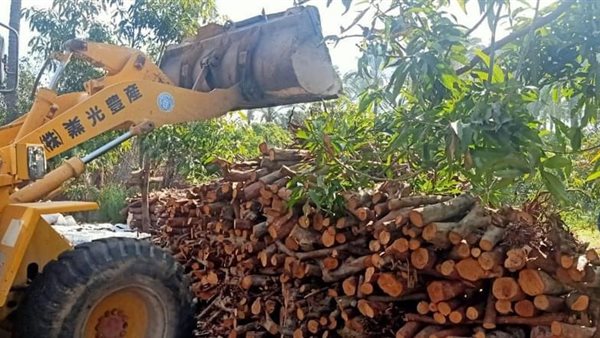 مدينة كفر البطيخ