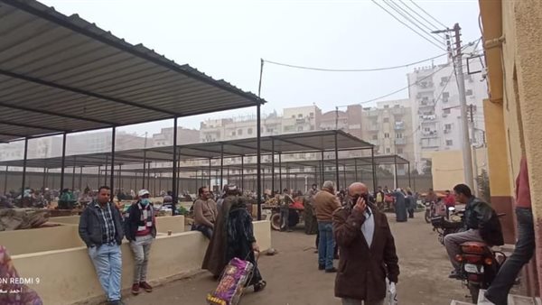 سوق ترعة البوصة