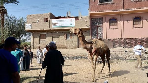 جانب من الحدث