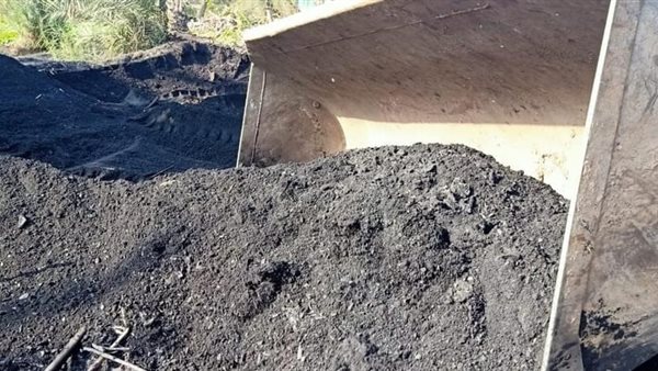 صورة من الحدث