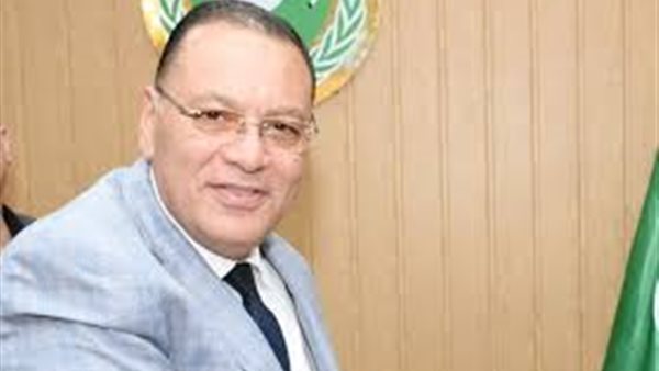 محافظ الشرقيه 