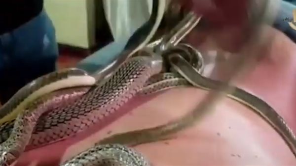 صورة للمنتج الصحى