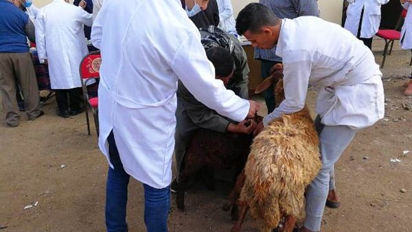 صورة من الحدث