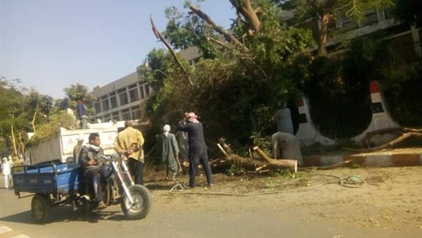 جانب من الحدث