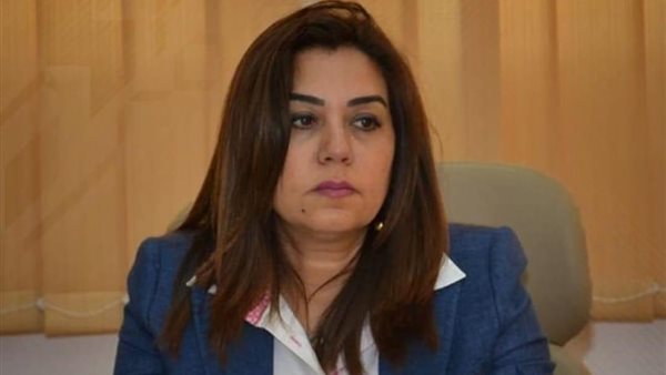 محافظ دمياط