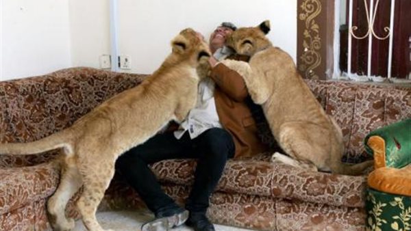 جانب من الحدث