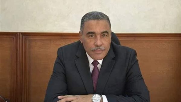 محافظ اسوان 