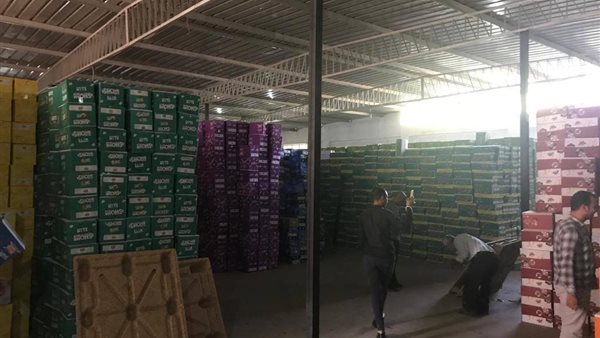 صورة أرشيفية