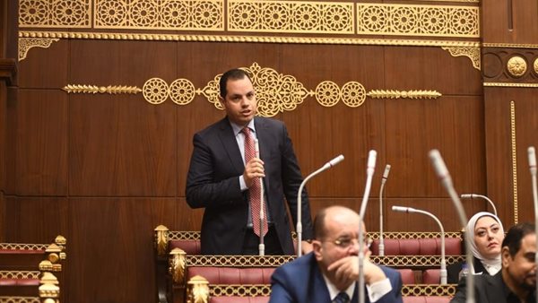 النائب أحمد فوزي