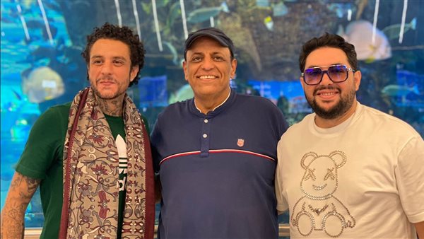 أحمد الفيشاوي 