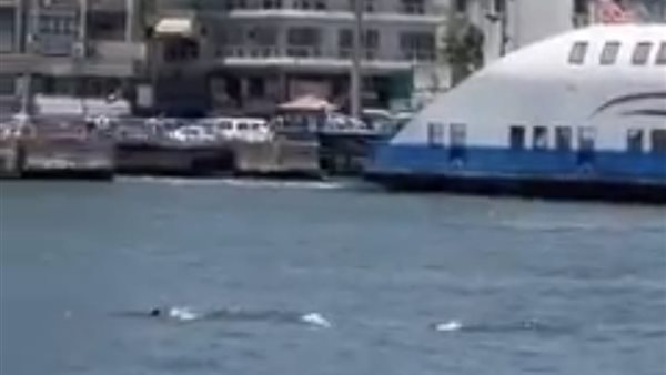 صورة من الحدث