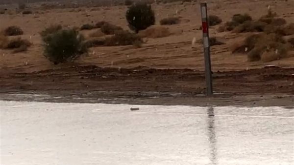 صورة من الحدث