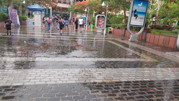 صورة من الحدث